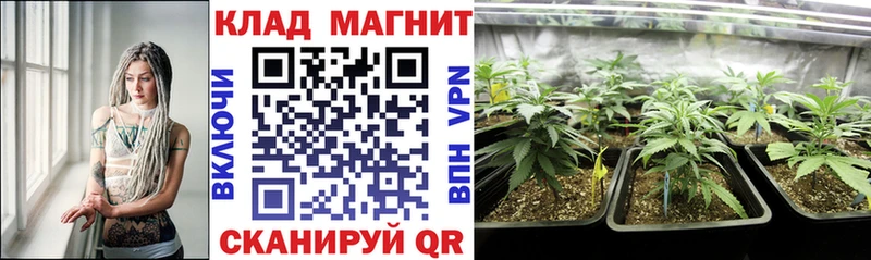 Где можно купить наркотики Рыбинск Каннабис Галлюциногенные грибы Гашиш Меф A PVP Амфетамин