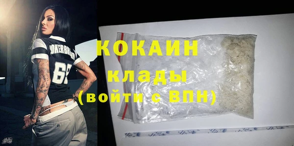 гашик Аркадак