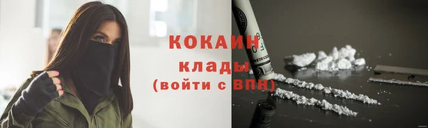 гашик Аркадак