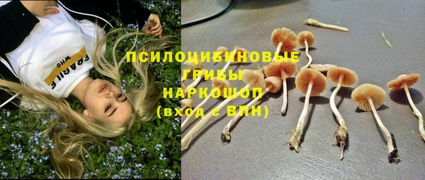 сатива Армянск