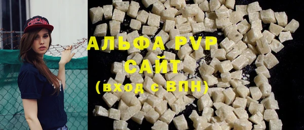 сатива Армянск