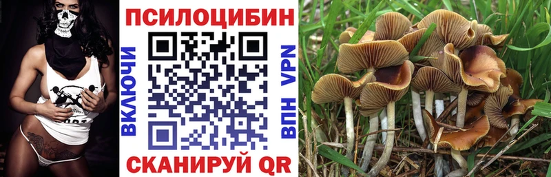 Галлюциногенные грибы Magic Shrooms  закладки  Рыбинск 