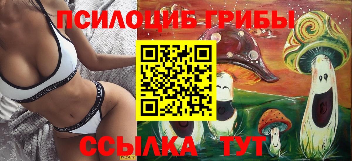 Рыбинск  Псилоцибиновые грибы MAGIC MUSHROOMS  Вход с VPN 