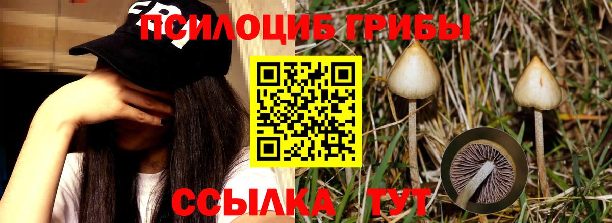 Галлюциногенные грибы GOLDEN TEACHER Рыбинск